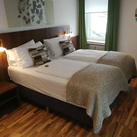 酒店 阿列格鲁酒店 4*